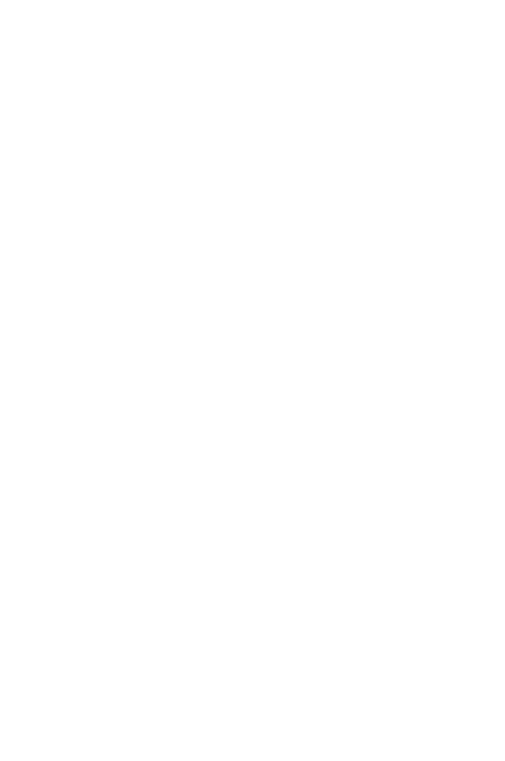 Dust Dealer